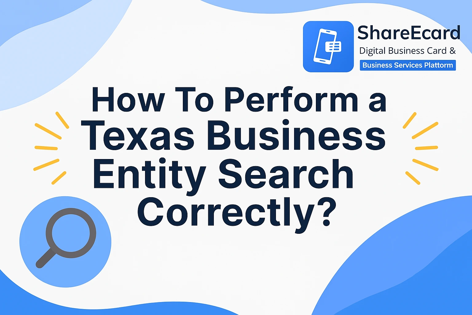 Texas Business Entity Search